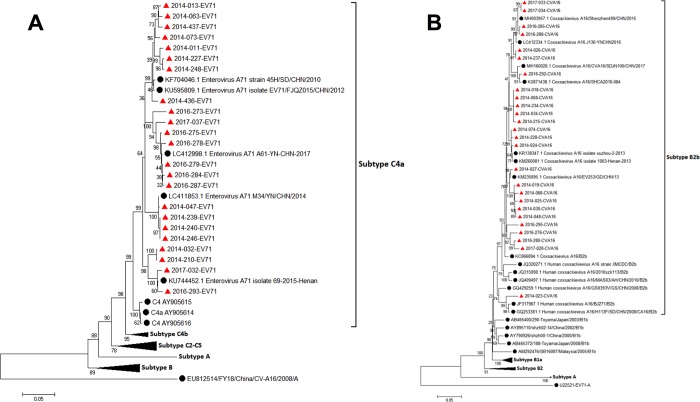 Fig 6