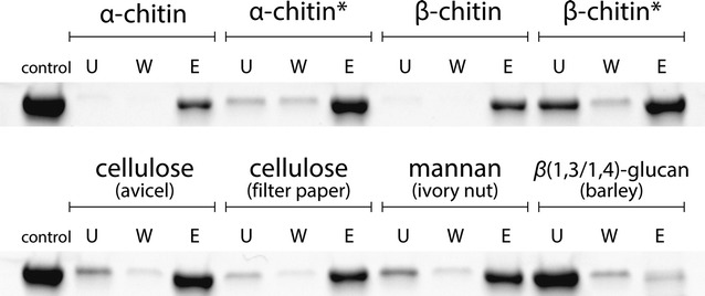 Fig. 6