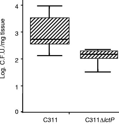 FIG. 1.