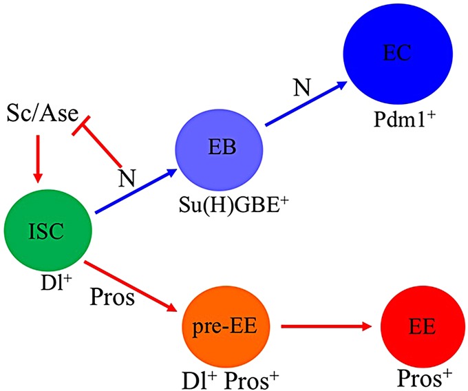 Fig. 7.