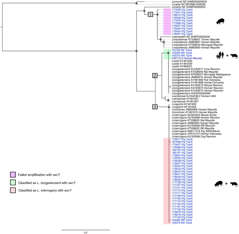 Fig 3