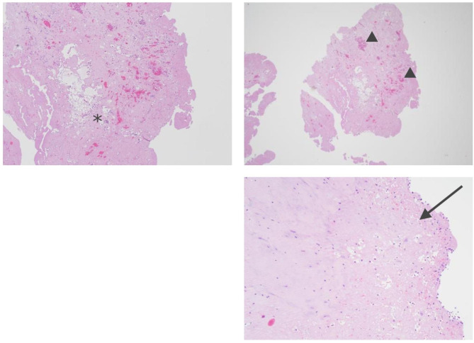 Fig. 7