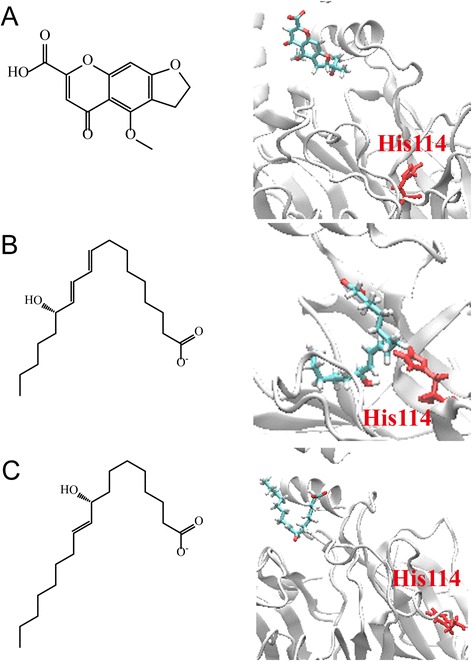 Fig. 13