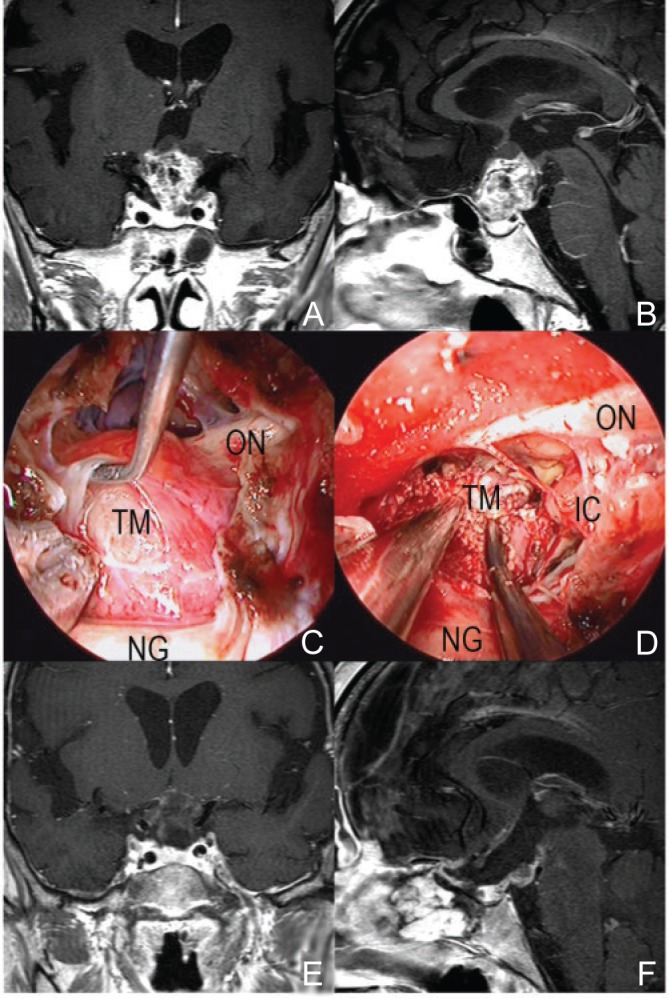 Fig. 3.