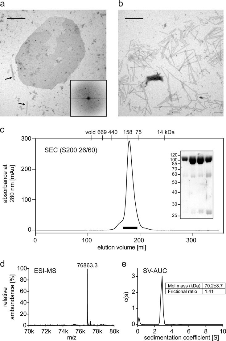 FIG 3