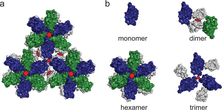 FIG 1