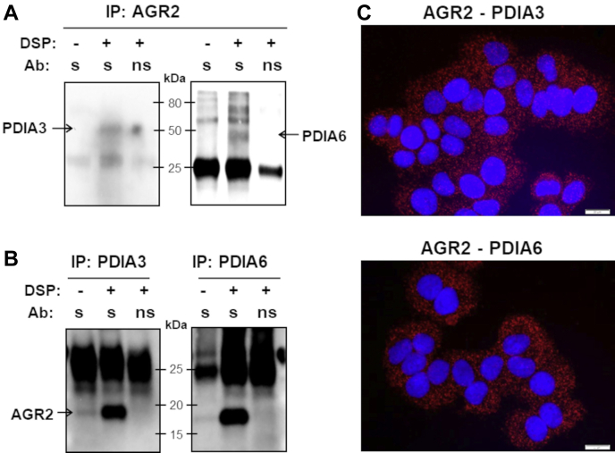 Fig. 4