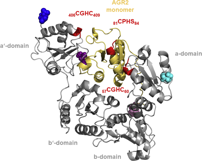 Fig. 7