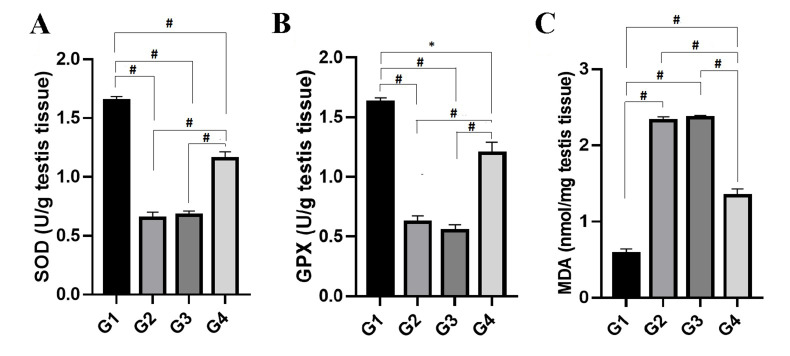 Fig.4