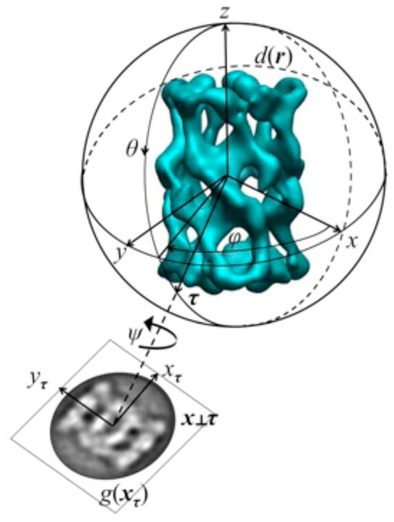 Fig. 1