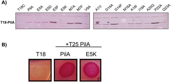 Fig. S3.