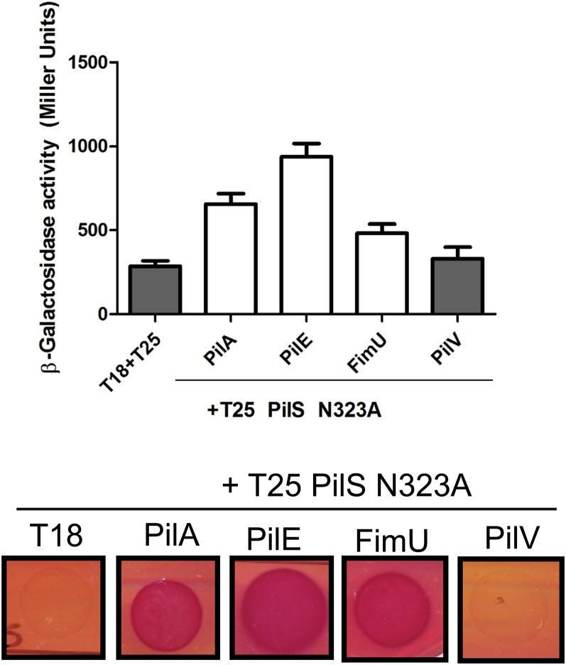 Fig. S5.