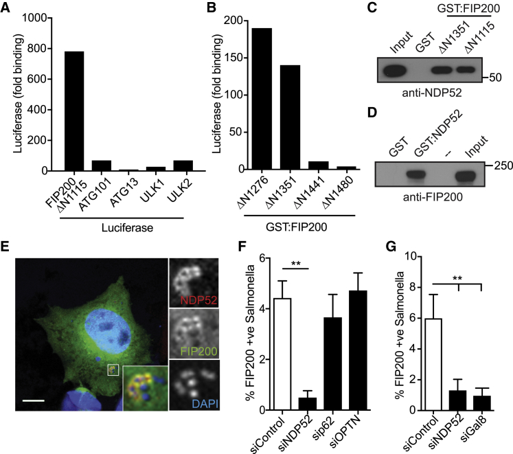 Figure 2