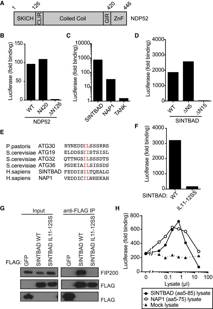 Figure 3