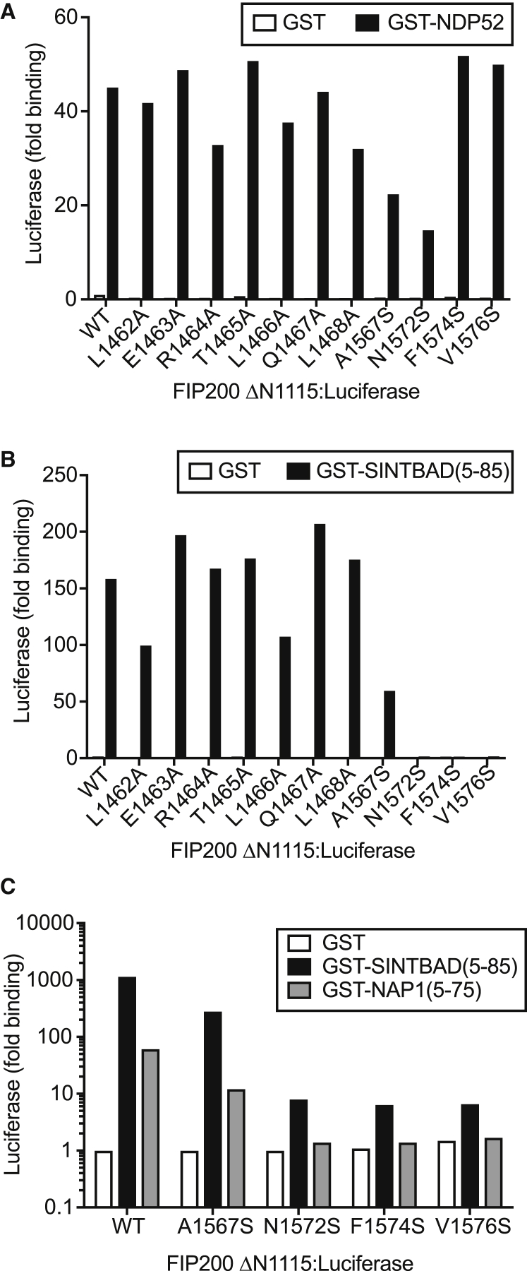 Figure 5