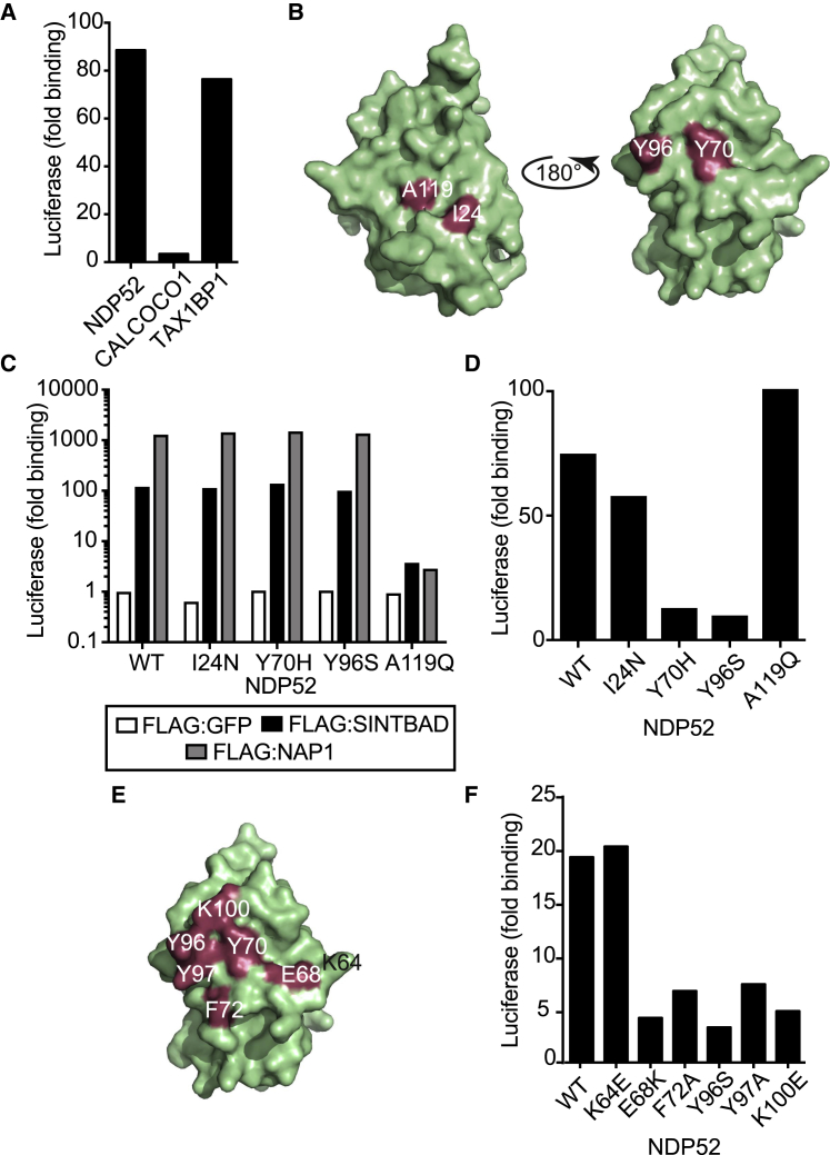 Figure 4