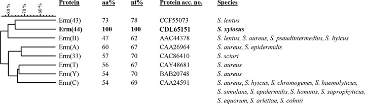 FIG 1