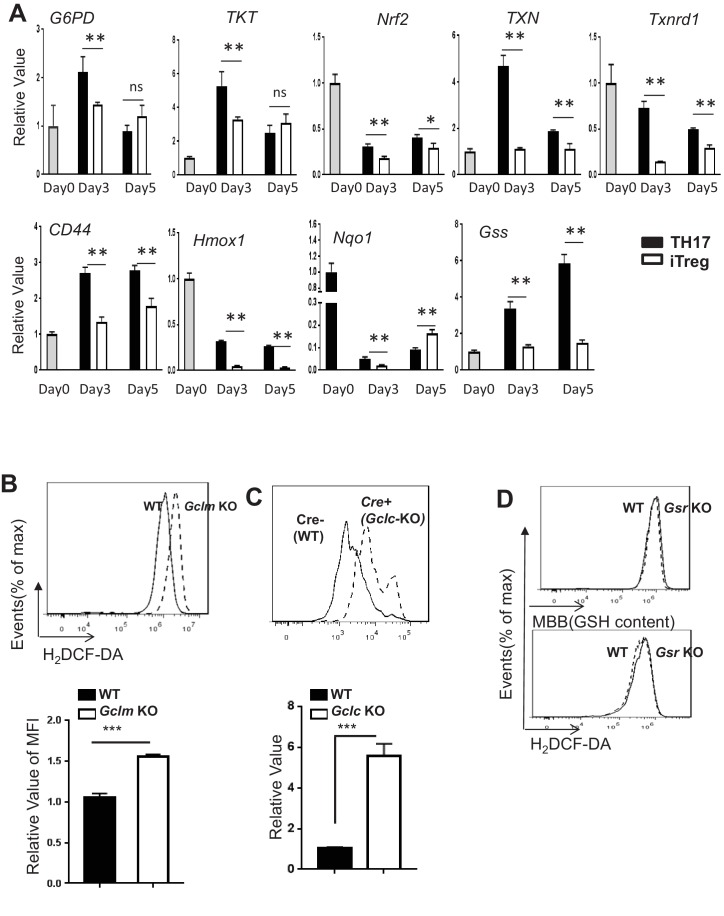 Figure 4—figure supplement 1.