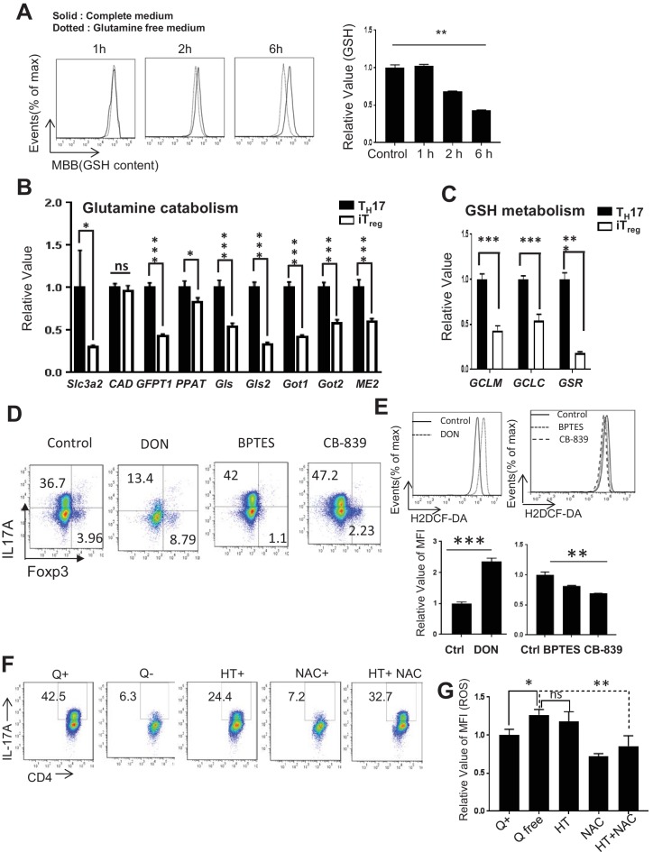 Figure 6—figure supplement 1.