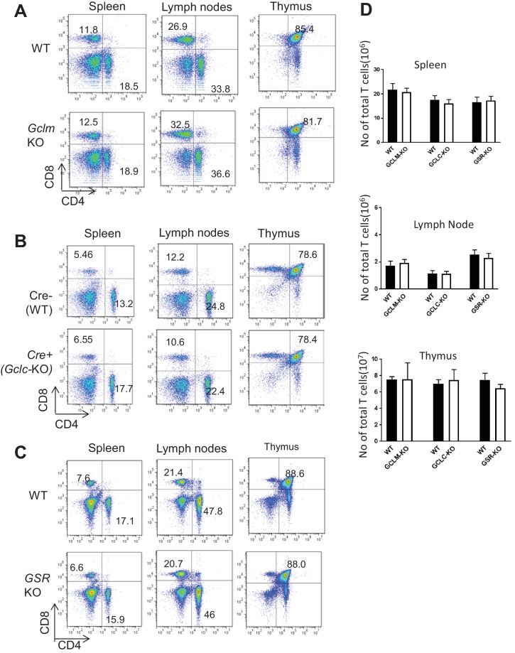 Figure 2—figure supplement 1.