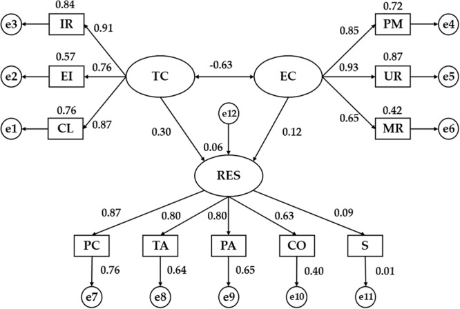 FIGURE 3