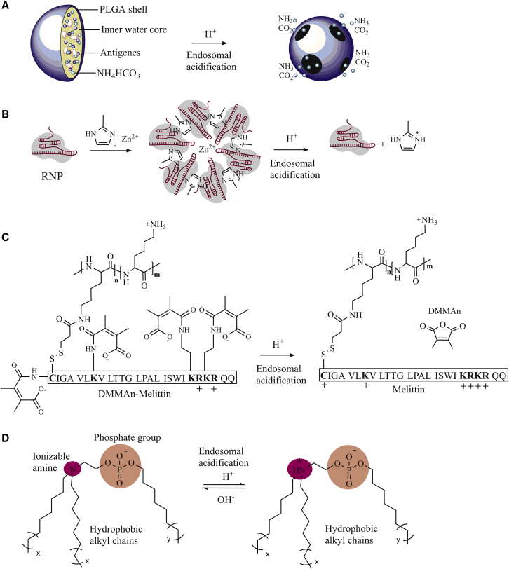 Figure 5