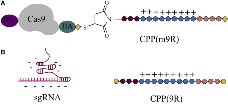 Figure 3