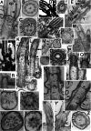 Fig. 9.