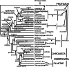 Fig. 11.