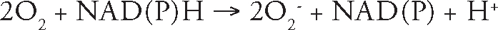 graphic file with name omcl0205_0259_eq001.jpg