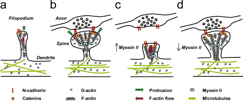 FIGURE 9: