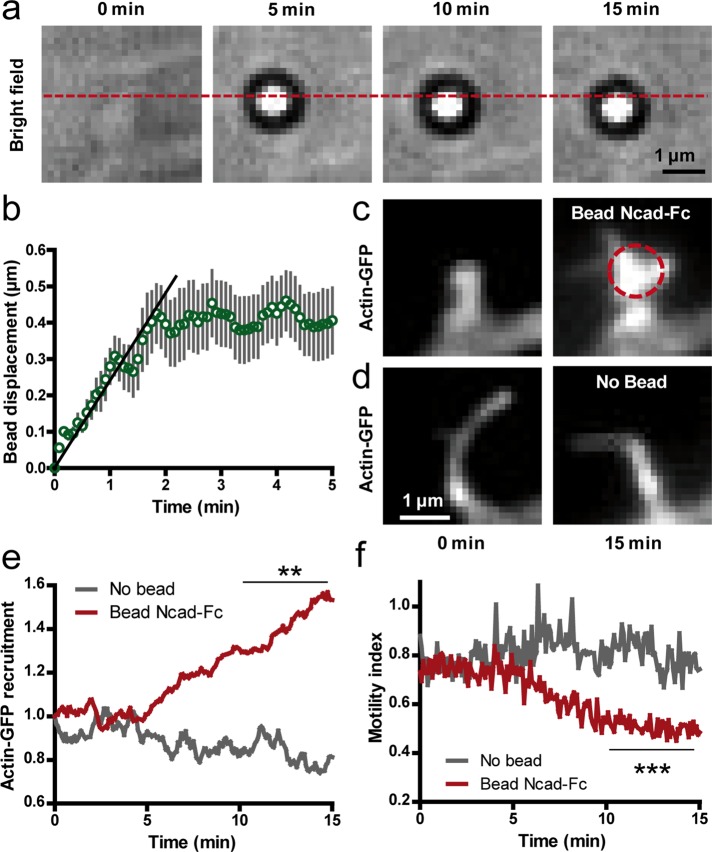 FIGURE 6: