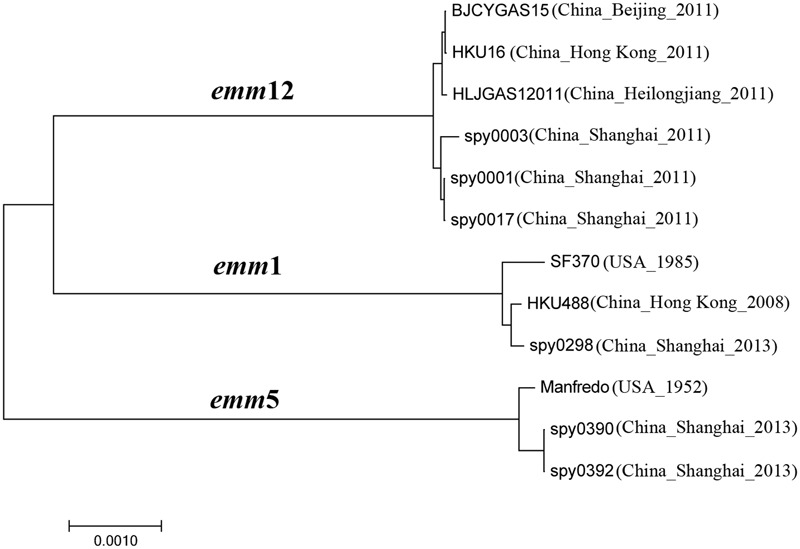 FIGURE 2