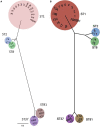 Figure 7