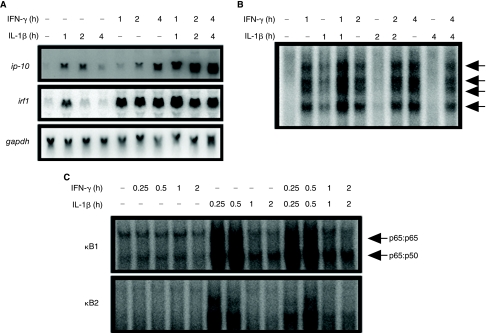 FIG. 4.