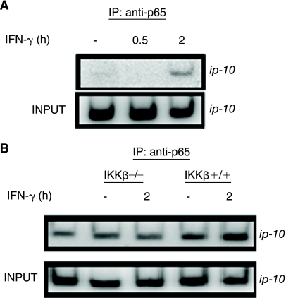 FIG. 1.