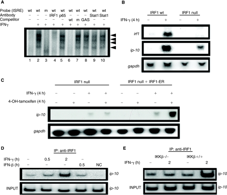 FIG. 3.