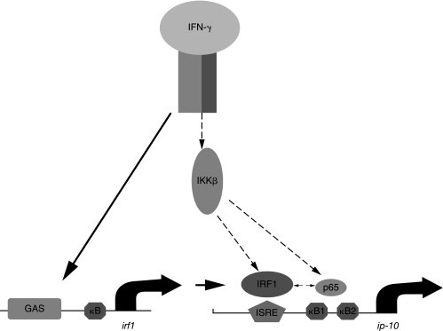 FIG. 5.