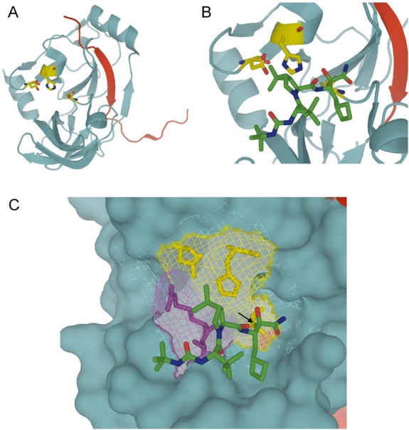 Figure 1.