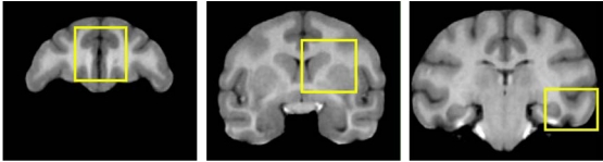 Fig. (6)