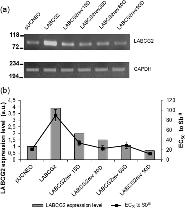 FIG 1