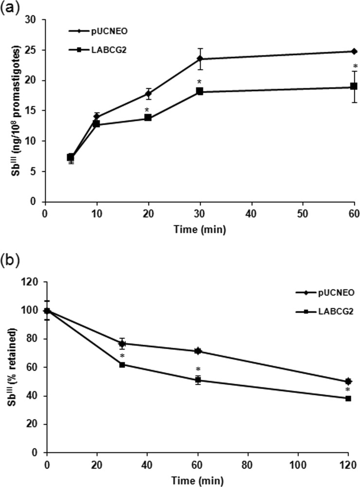 FIG 2