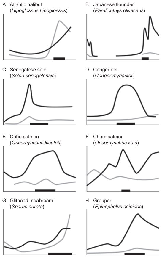 Figure 5.7