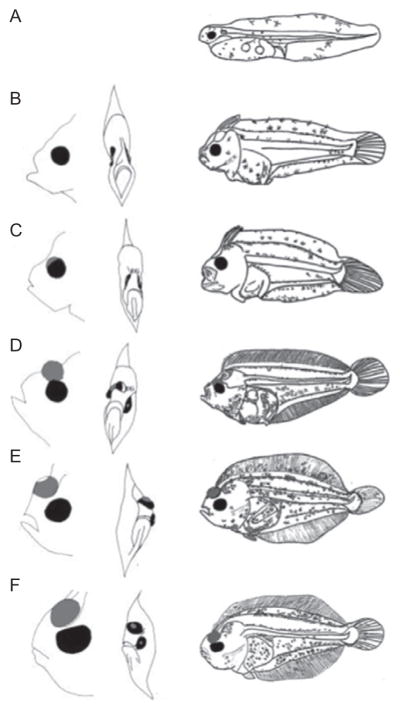 Figure 5.3