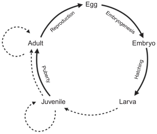 Figure 5.1