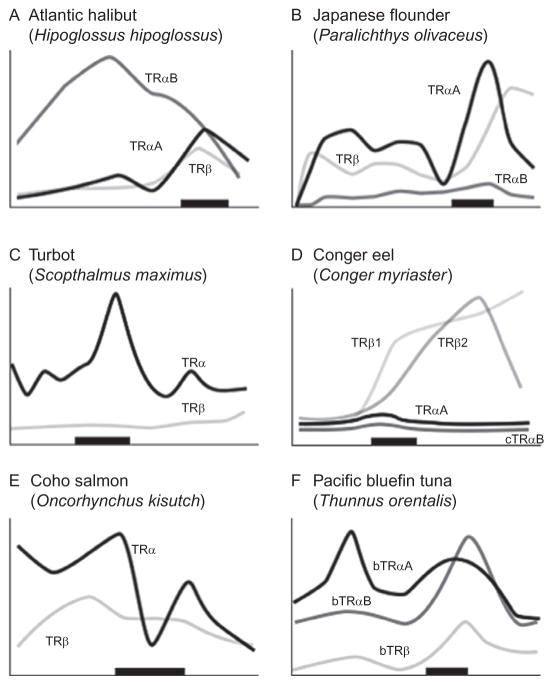 Figure 5.8