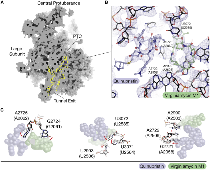 Figure 4