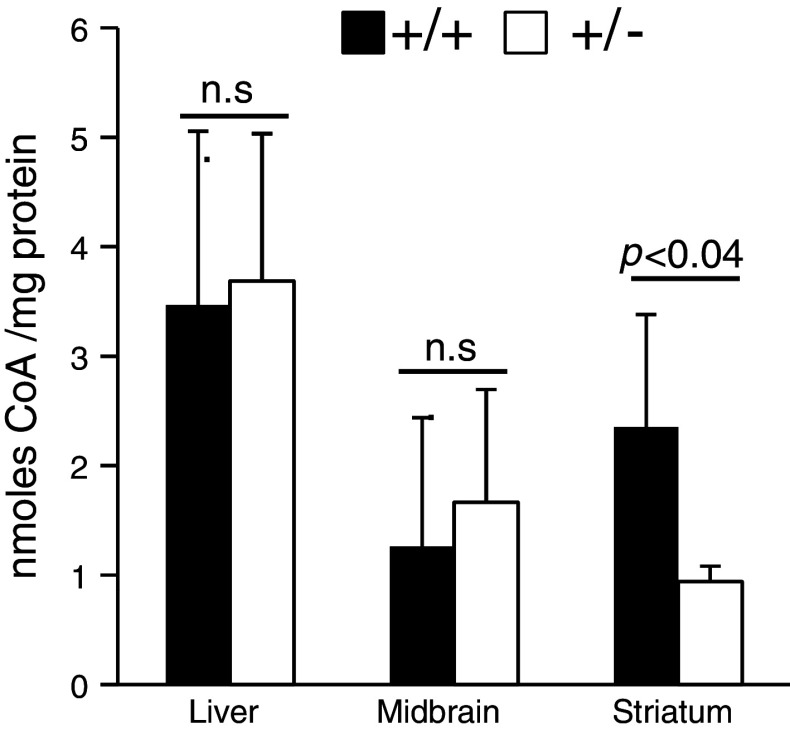 Fig. 10