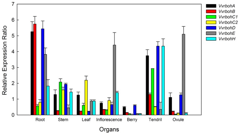 Figure 5.