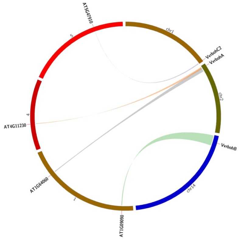 Figure 4.